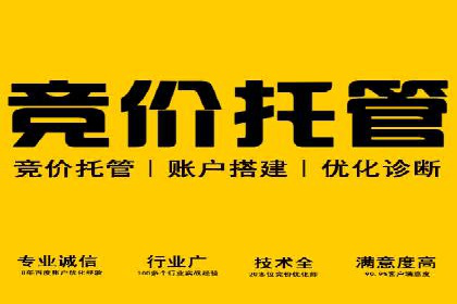 高效SEM广告投放实战技巧